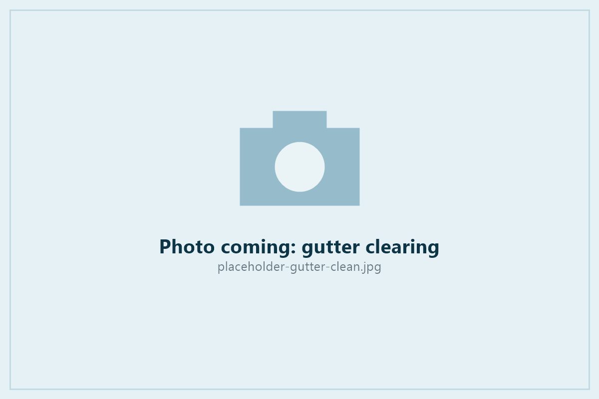 Gutter clearing on a Tauranga property