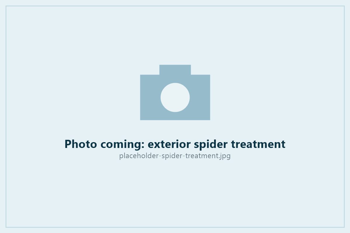 Exterior spider treatment on the eaves of a Tauranga home